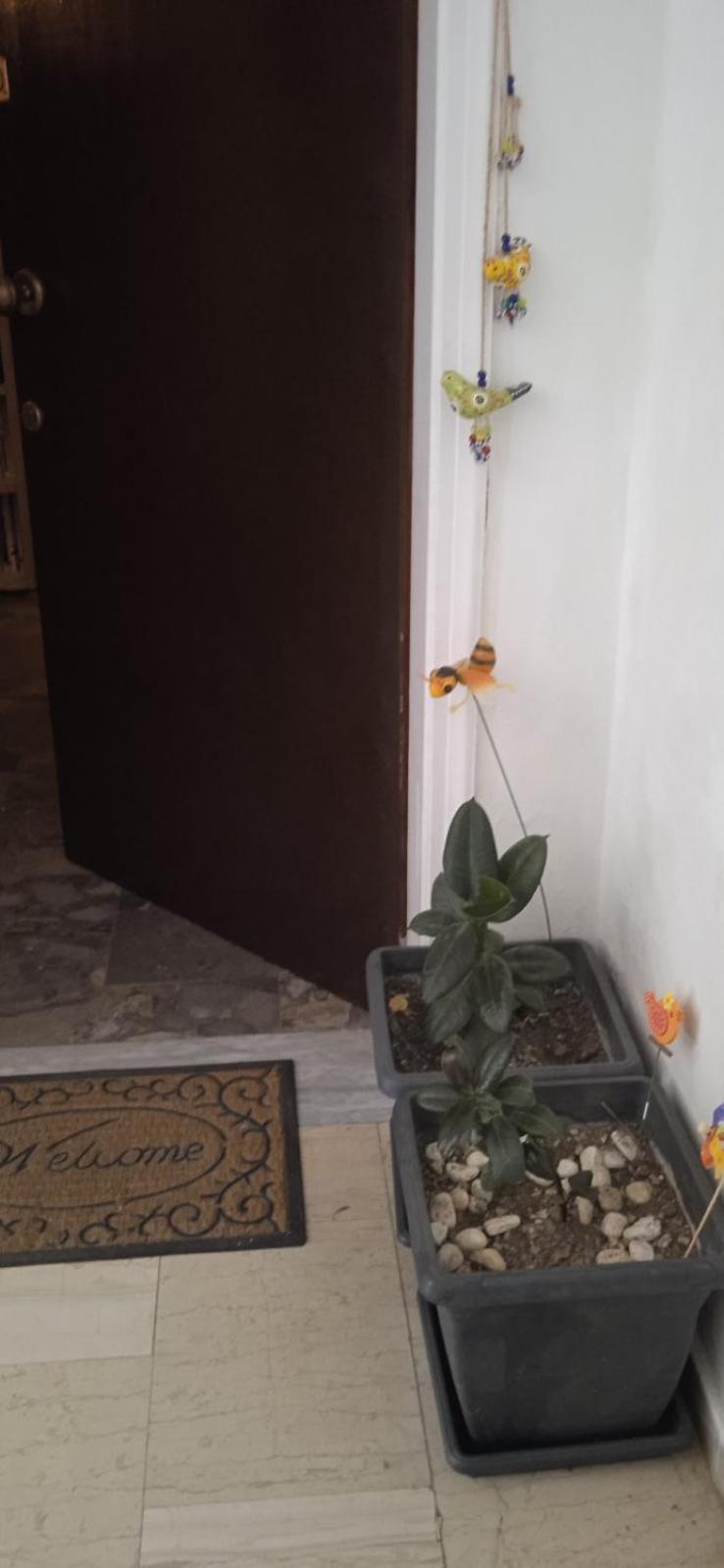 Campelina Home, 2Bd Near Corfu Town Esterno foto